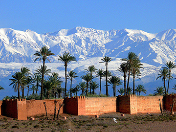 Agadir to Marrakech (1 day) 
