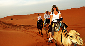 1 night in the desert in berber tent with camel trekking
