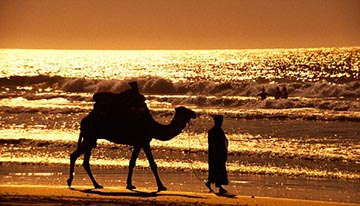 Agadir to Marrakech and Essaouira (2days)