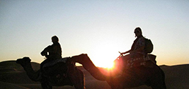 Fez sahara tour cammello trekking