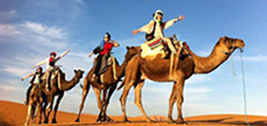 Fez a Marrakech y el Tour del Desierto