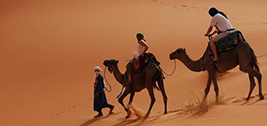 Marrakech camello Trekking
