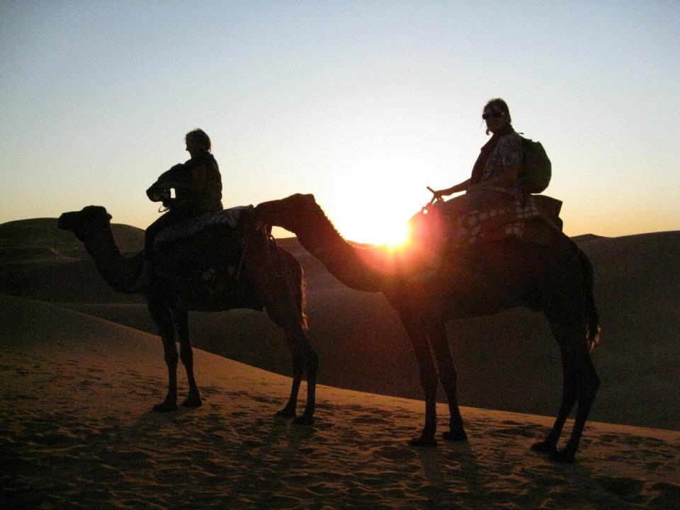 Camello Fez sahara viaje del senderismo